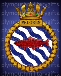 HMS Pelorus Magnet